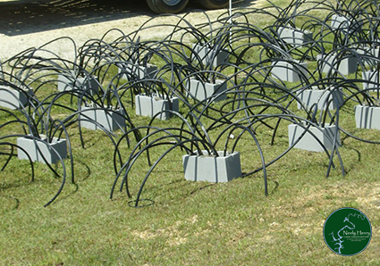 spider block fish habitat creation on Neely Henry Lake